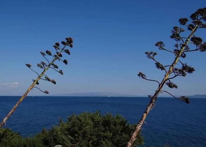 Apartment In Okrug Gornji 6167